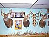 Mass Deer Hunters-dsc03629_email.jpg