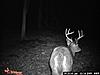 looking for new places to hunt in wva-16132_1287078573969_1140314460_30896892_6579558_n.jpg