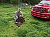 WV gobblers...-jake2.jpg
