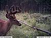 2009 Canadian Hunting Posts-2.jpg