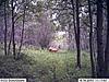 2009 Canadian Hunting Posts-3.jpg
