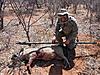 Hi from South Africa-spearhunting-warthog-solo-without-dogs.jpg