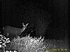 2009 Canadian Hunting Posts-5.jpg