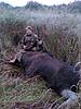 Hunting in Russia-post-2447-0-80967100-1414515711.jpg