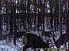 2009 Canadian Hunting Posts-pict0099.jpg