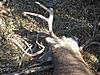 2009 Canadian Hunting Posts-4.jpg