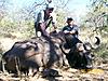 South Africa hunt...-100_0912.jpg