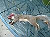 09-10 Squirrel Hunting Contest-img_1631.jpg