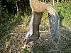 2010-2011 Squirrel Hunting Contest Scoreboard-photo0264.jpg