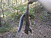 2010-2011 Squirrel Hunting Contest Scoreboard-photo0265.jpg