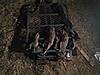 2010-2011 Squirrel Hunting Contest Scoreboard-photo0413.jpg