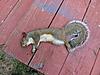 09-10 Squirrel Hunting Contest-img_1792.jpg