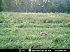 Name that critter-2009-09-01-17-48-00.jpg