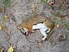 09-10 Squirrel Hunting Contest-red-small-.jpg