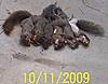 09-10 Squirrel Hunting Contest-10116s.jpg