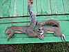 09-10 Squirrel Hunting Contest-pa140064.jpg