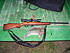 Squirrel hunting with handguns-pa220069.jpg
