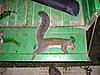 09-10 Squirrel Hunting Contest-pa230073.jpg