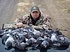 Pigeon Hunting....-dsc01324.jpg