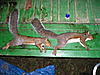 09-10 Squirrel Hunting Contest-pa240075.jpg
