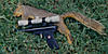 Squirrel hunting with handguns-fox-squirrel-pistol.jpg