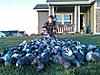 Pigeon Hunting....-110109-72.jpg