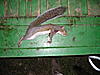 09-10 Squirrel Hunting Contest-pb050082.jpg
