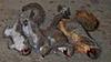 09-10 Squirrel Hunting Contest-christmas-squirrels-001.jpg