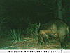 Awsome Game cam pics-sunp0135.jpg