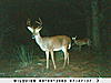 Awsome Game cam pics-sunp0151.jpg