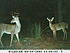 Awsome Game cam pics-sunp0179.jpg