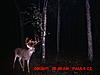 pics, Screven County-good-buck.jpg