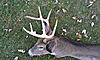 Best Black Powder Buck to Date-100media36imag2329.jpg