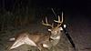 South Carolina Hunting Club Openings-00202_eimbll7gpxd_600x450.jpg