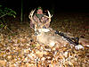 3 Va bucks-12pt-pwc.jpg