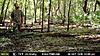Is this guy any of you on here? (Trail cam pic) (Croom)-6c2a42c1-9dd3-4213-908c-d2e7b1e7e1d0.jpeg