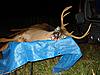 7-Point-7-point-2.jpg