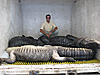 Louisiana Offshore Fishing or alligator hunt for Bow hunt-img_0859.jpg