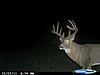 Buffalo County Whitetails-cdy_0017.jpg