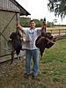 Offering Florida Alligator/hog/turkey hunt for Elk/Mule Deer hunt-turkey-hunting.jpg