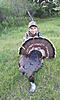 Awesom Oklahoma Turkey for ??????-tom-s-stuff-484.jpg