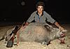 Swap a Hunt Argentina-boar.jpg