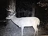 Trophy Whitetail Hunt in SW Kentucky for???-img_1288.jpg