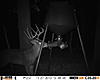 Kansas Whitetail Hunt for ?-cs7.jpg