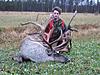 Swap hunts Worldwide-caribou.jpg
