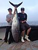 Massachusetts fishing Tuna,Shark, Cod swap for a hunt?-image.jpg