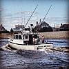 Massachusetts fishing Tuna,Shark, Cod swap for a hunt?-image.jpg