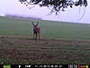 Kansas Hunt-prms0023.jpg