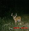 Iowa Trophy Whitetail for Western Big Game and Aoudad-mdgc0094-1-2.jpg