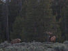 Wyoming Big Game Hunting Opportunity-p1010214.jpg